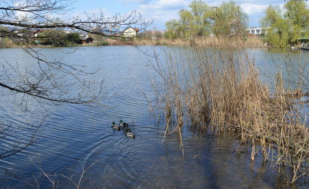 Koseški bajer, foto: V. Kontić