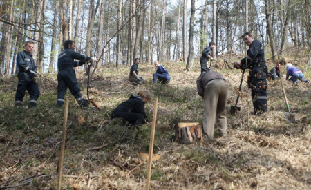 150411_sajenjedrevesnagolovcu_nrovan_001.jpeg