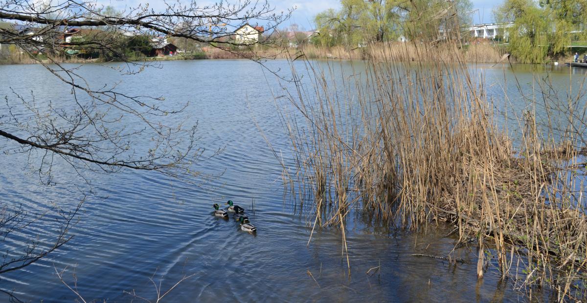 Koseški bajer, foto: V. Kontić