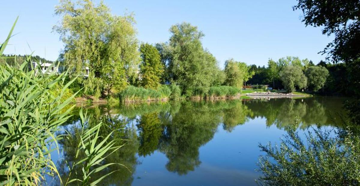 Koseški bajer, foto: G. Murn, vir: TL