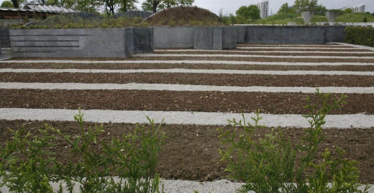 Leta 2011 pridobljeni novi del pokopališča za klasične pokope, foto: Miha Fras