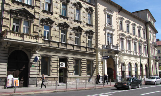 dnevnicenterstarejšihajdovščina_janezplatiše.jpg