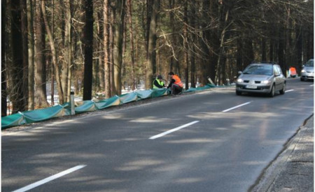 dvoživke_vecnapot01_anamarija_žagar.jpg