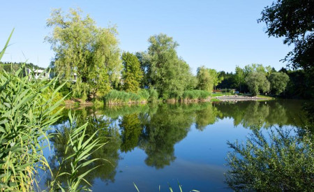 Koseški bajer, foto: G. Murn, vir: TL