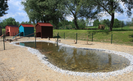 Mala živalska farma, foto: N.Rovan.jpeg