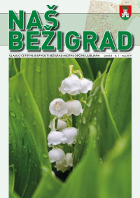 Bezigrad-glasilo-15-maj-2019-predogled-9-final.jpg