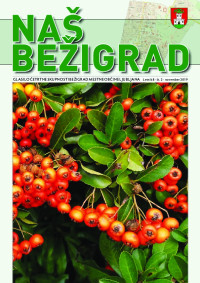 Bezigrad-glasilo-16-nov-2019-predogled-8-FINAL.jpg