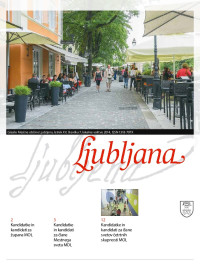 glasilo-ljubljana-07-14-volitve-2.jpg