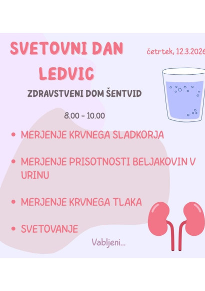 SvetovniDanLedvic