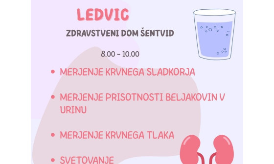 SvetovniDanLedvic