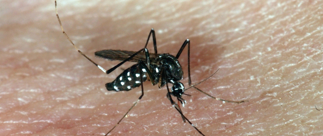 Foto arhiv MOL