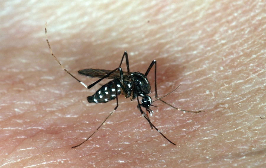 Foto arhiv MOL