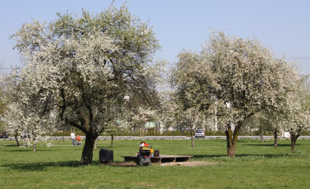Smartinski park, foto: Luka Vidic, vir LUZ