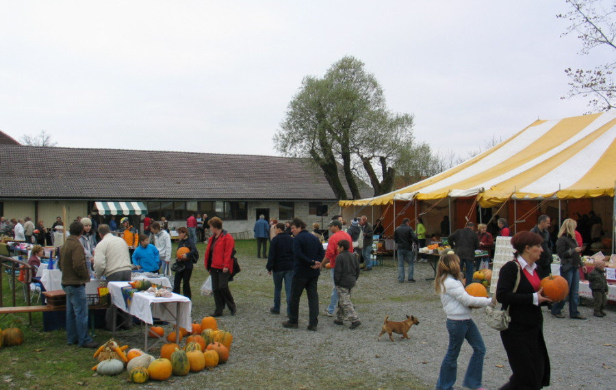 ljudje se sprehajajo po tržnici
