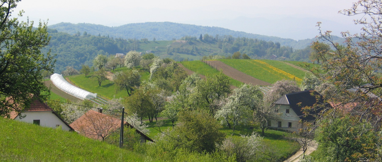 zeleno zaledje Ljubljane