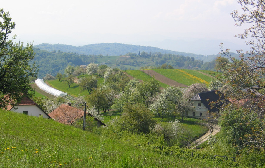 zeleno zaledje Ljubljane