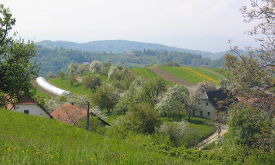 zeleno podeželje