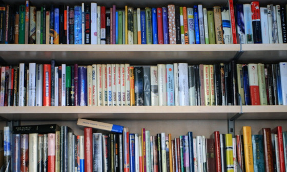 Knjižne police. Foto: N. Rovan