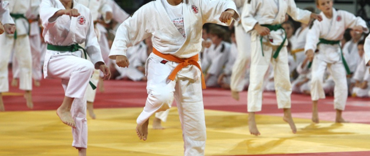 judoisti