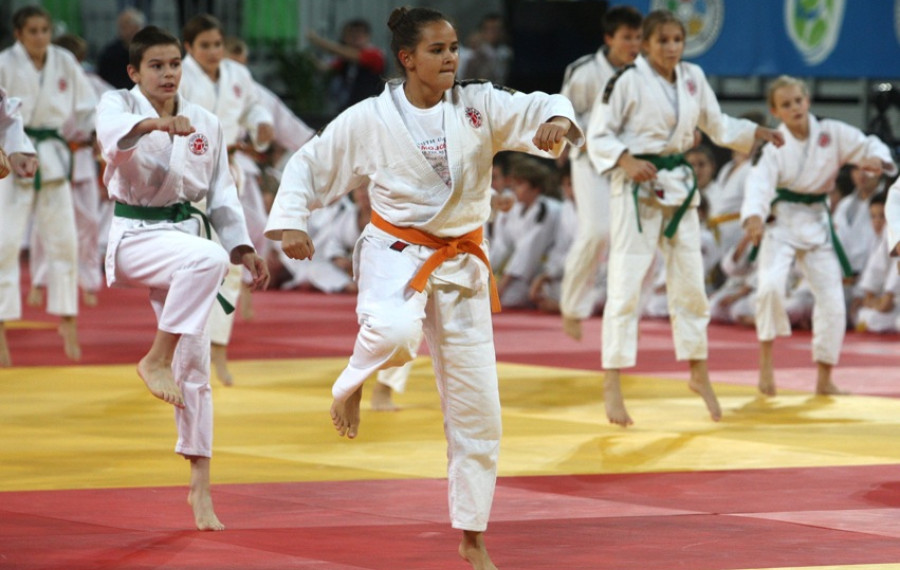 judoisti
