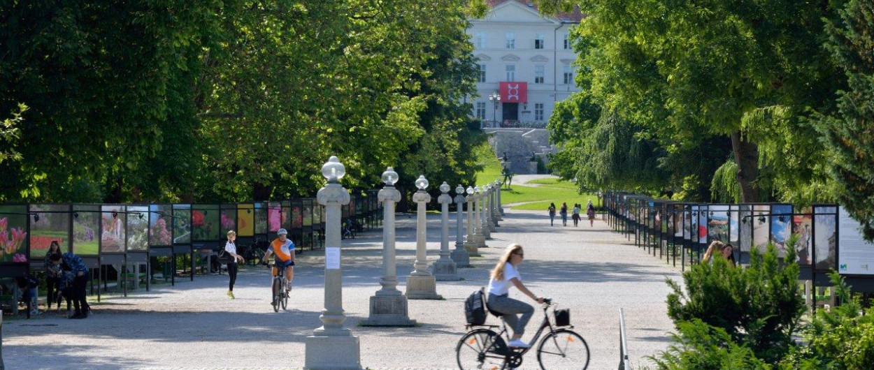 Kolesarka v Tivoliju. Foto: Miran Kambič, Turizem Ljubljana
