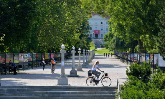 Kolesarka v Tivoliju. Foto: Miran Kambič, Turizem Ljubljana