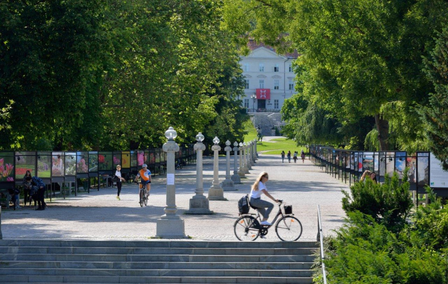Kolesarka v Tivoliju. Foto: Miran Kambič, Turizem Ljubljana