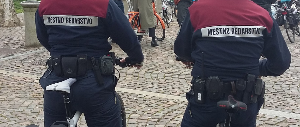 foto vir mol