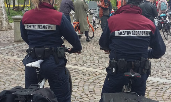 foto vir mol