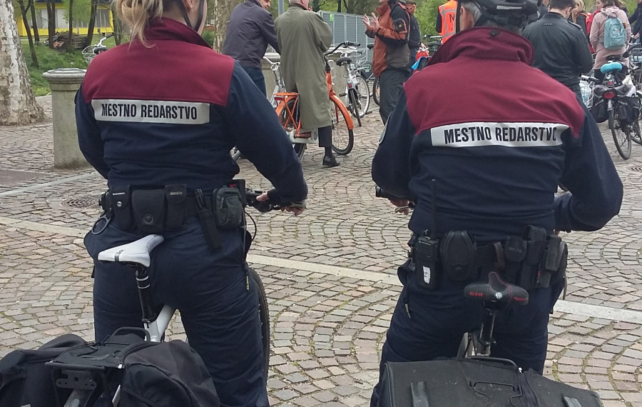 foto vir mol