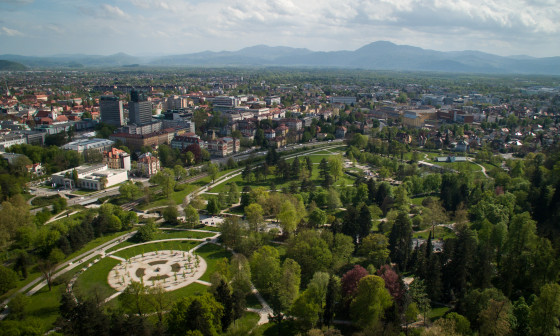 pogled na zeleno ljubljano