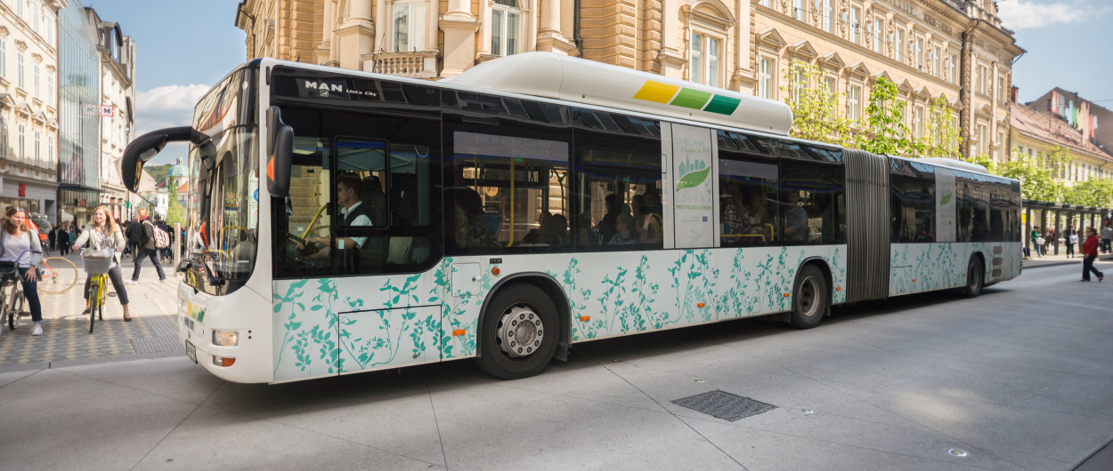 162504 Avtobus Doris Kordic
