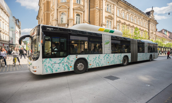 162504 Avtobus Doris Kordic