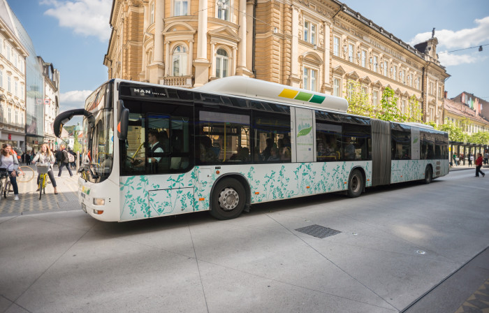 162504 Avtobus Doris Kordic