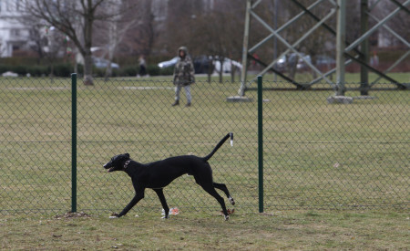Pasji park v Šmartinskem parku, foto: N. Rovan