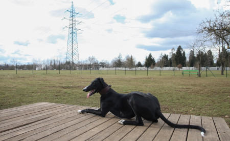 180313 pasji park v smartinskem parku nrovan 009