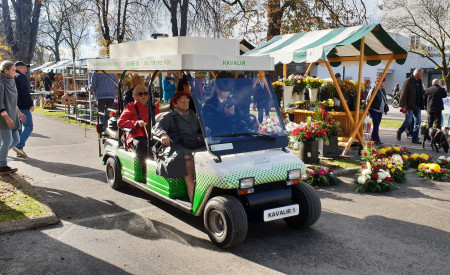 Brezplačne vožnje po pokopališču Žale. Foto: arhiv LPP