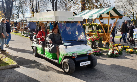 Brezplačne vožnje po pokopališču Žale. Foto: arhiv LPP