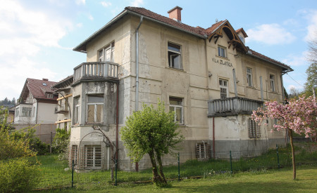 Hribarjeva vila pred prenovo, foto: N. Rovan