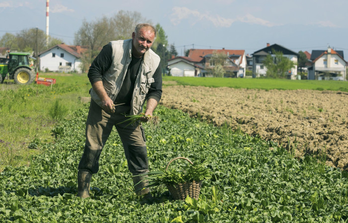 190417 Kmetija Trkov Marjan Niko Trkov foto.miha.fras 057
