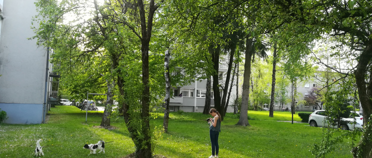190424 stanovanjske soseske drevesa Zelena pot KINovak 1
