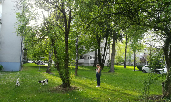 190424 stanovanjske soseske drevesa Zelena pot KINovak 1