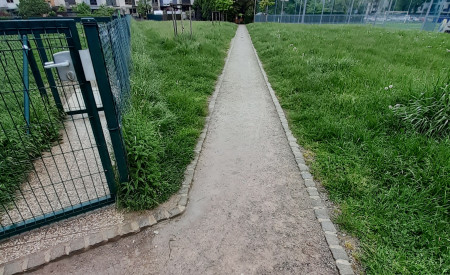 S peskom tlakovana pot pri Koseskem bajerju. Foto: arhiv MOL