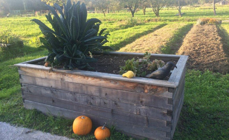 Vrtičkarji številne nasvete strokovnjakov prejmemo tudi na vrtičkarskih delavnicah Foto; M. Dizdarevic