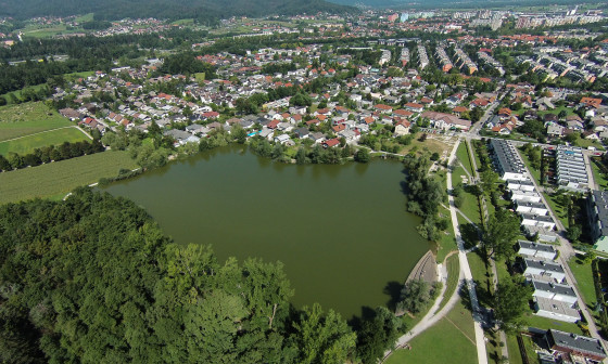Koseski bajer 