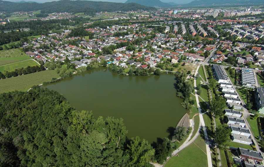 Koseski bajer 