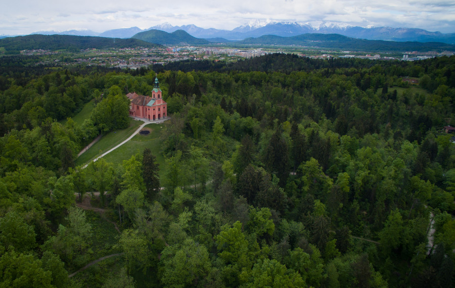 Krajinski park Tivoli, Rožnik in Šišenski hrib. Foto: STA vir MOL