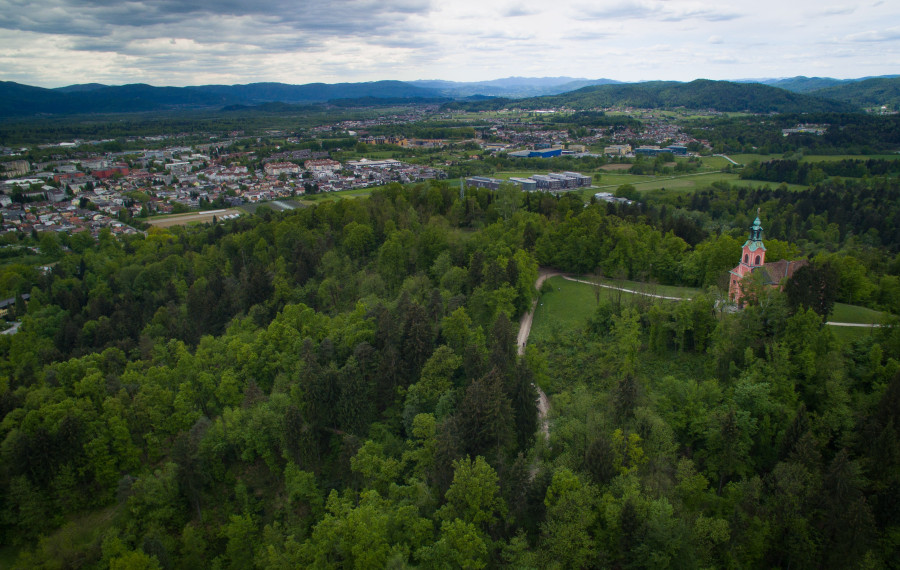 Rožnik