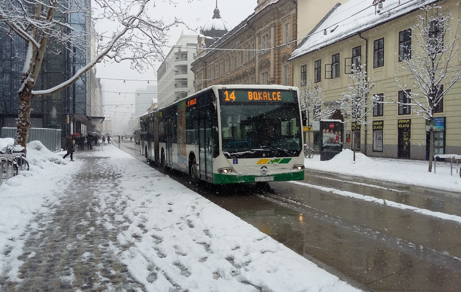 avtobus na zasneženi Slovenski cesti