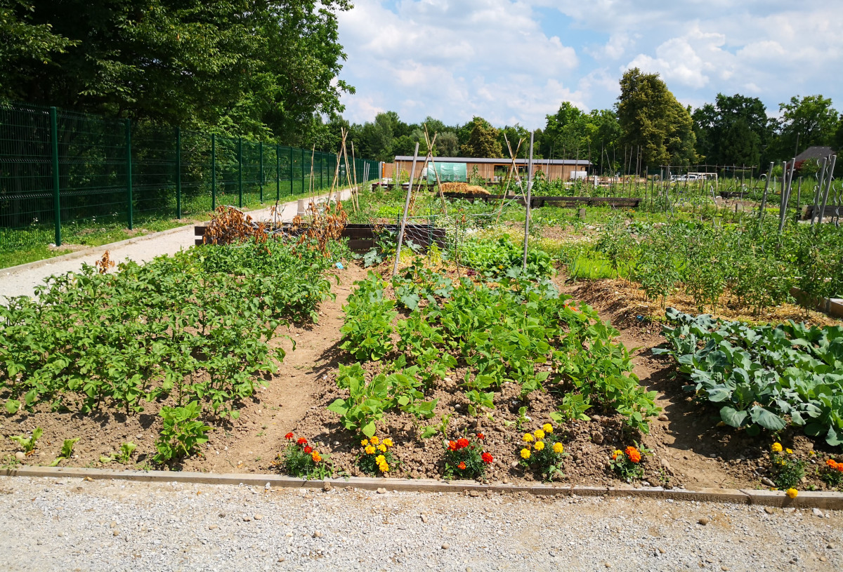 urejeni vrtički na območju Vižmarje Brod